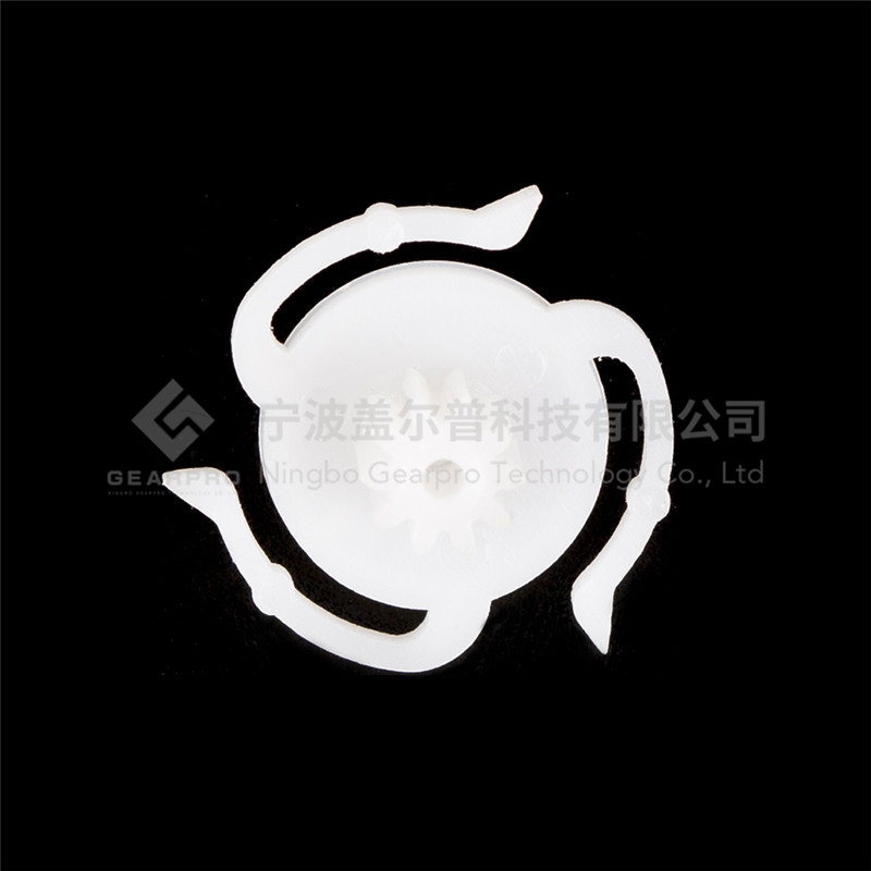 棘轮11